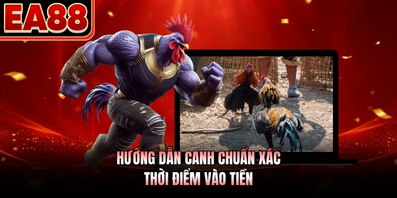 Hướng dẫn canh chuẩn xác thời điểm vào tiền